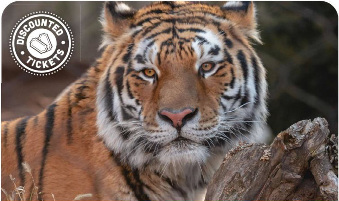 HFCU NEWS Hancock Federal Credit Union